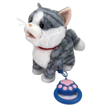 Lodër me Bateri dhe Muzikë