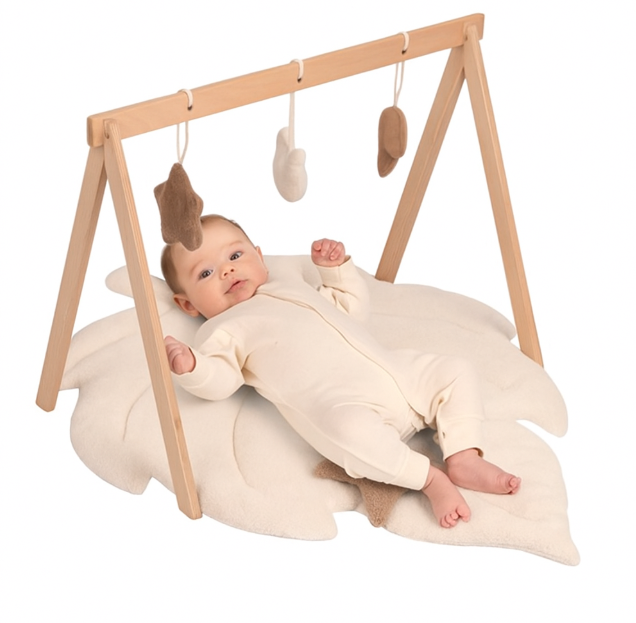 Dyshek dhe Lodra për Foshnje